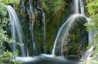 reposada